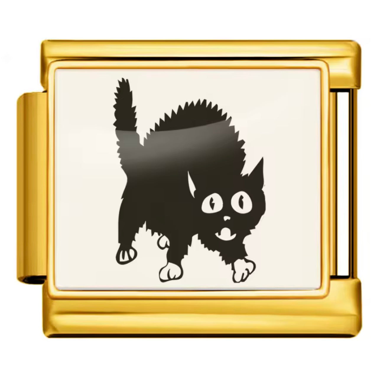 Cat fear