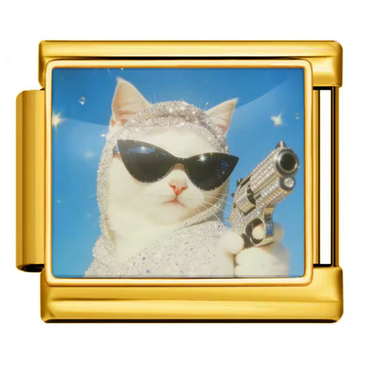 Cat gun