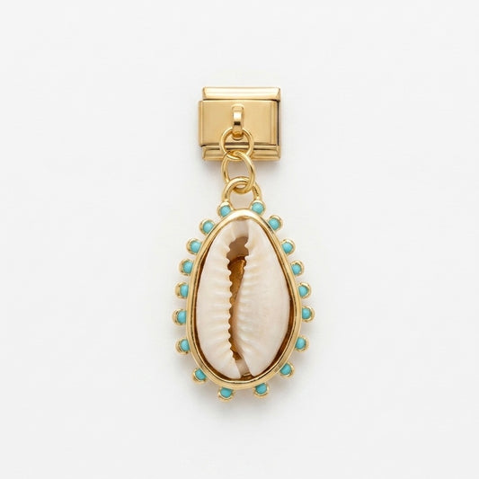 Coquillage xl