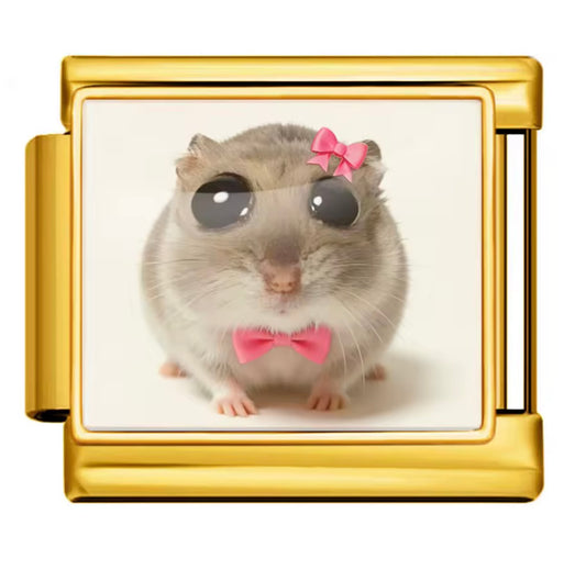 Mimi