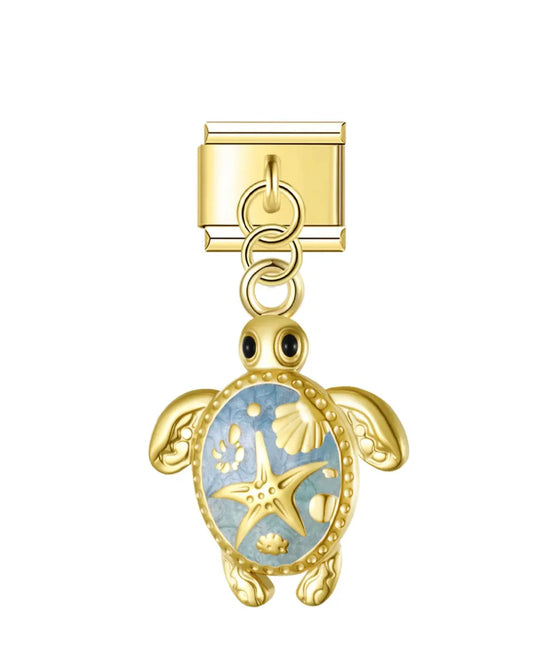 Tortue coquillages
